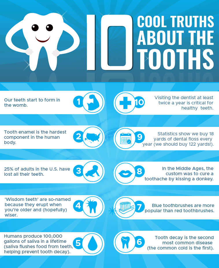 10 Cool Truths About The Tooths